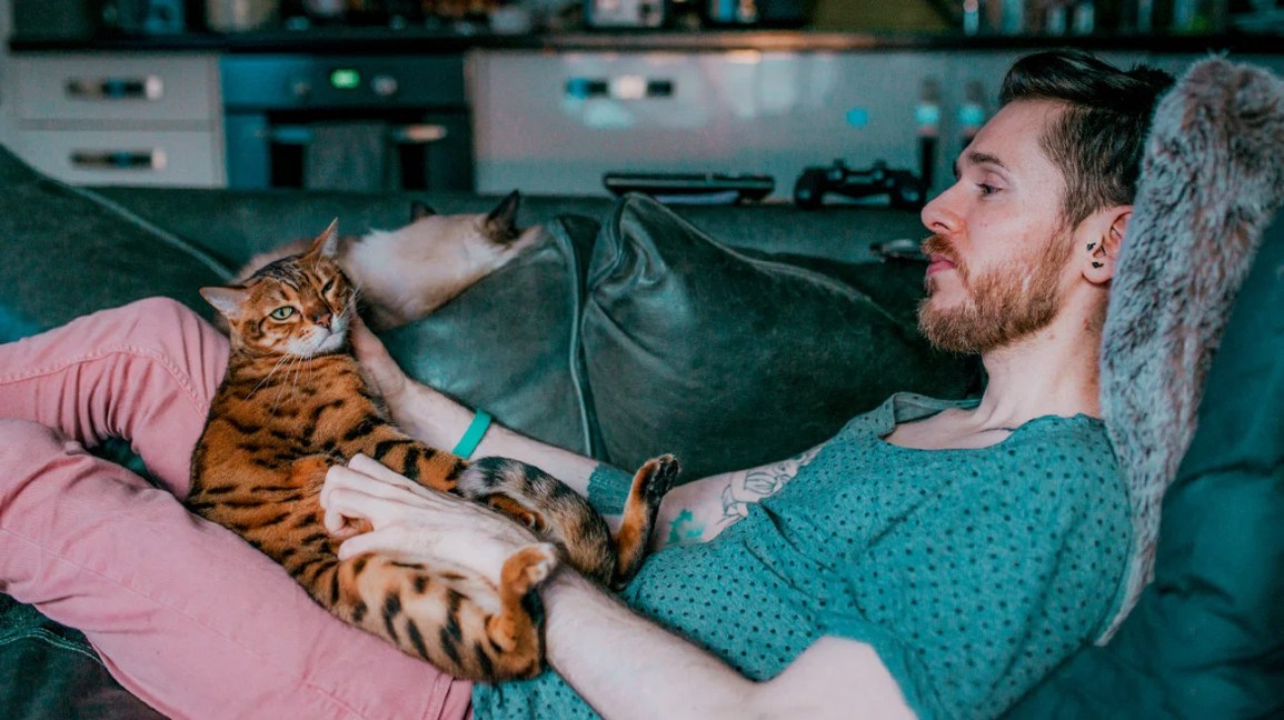 Um homem que relaxa com um gato