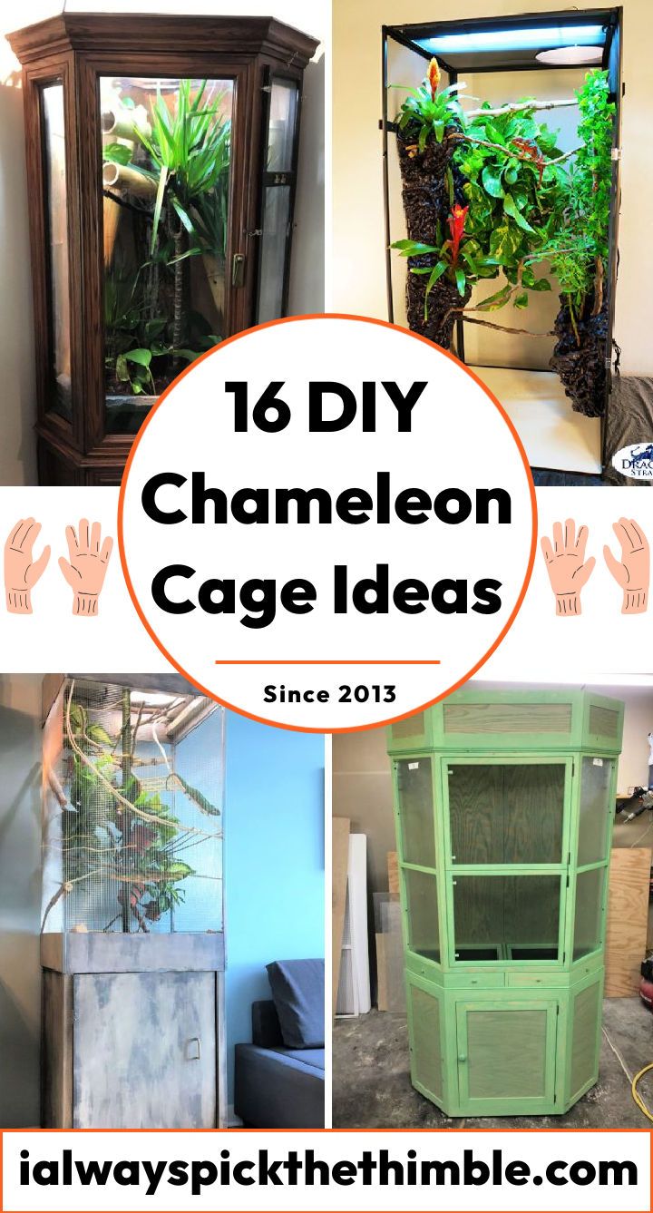 16 ideias e planos gratuitos para gaiola camaleão faça você mesmo